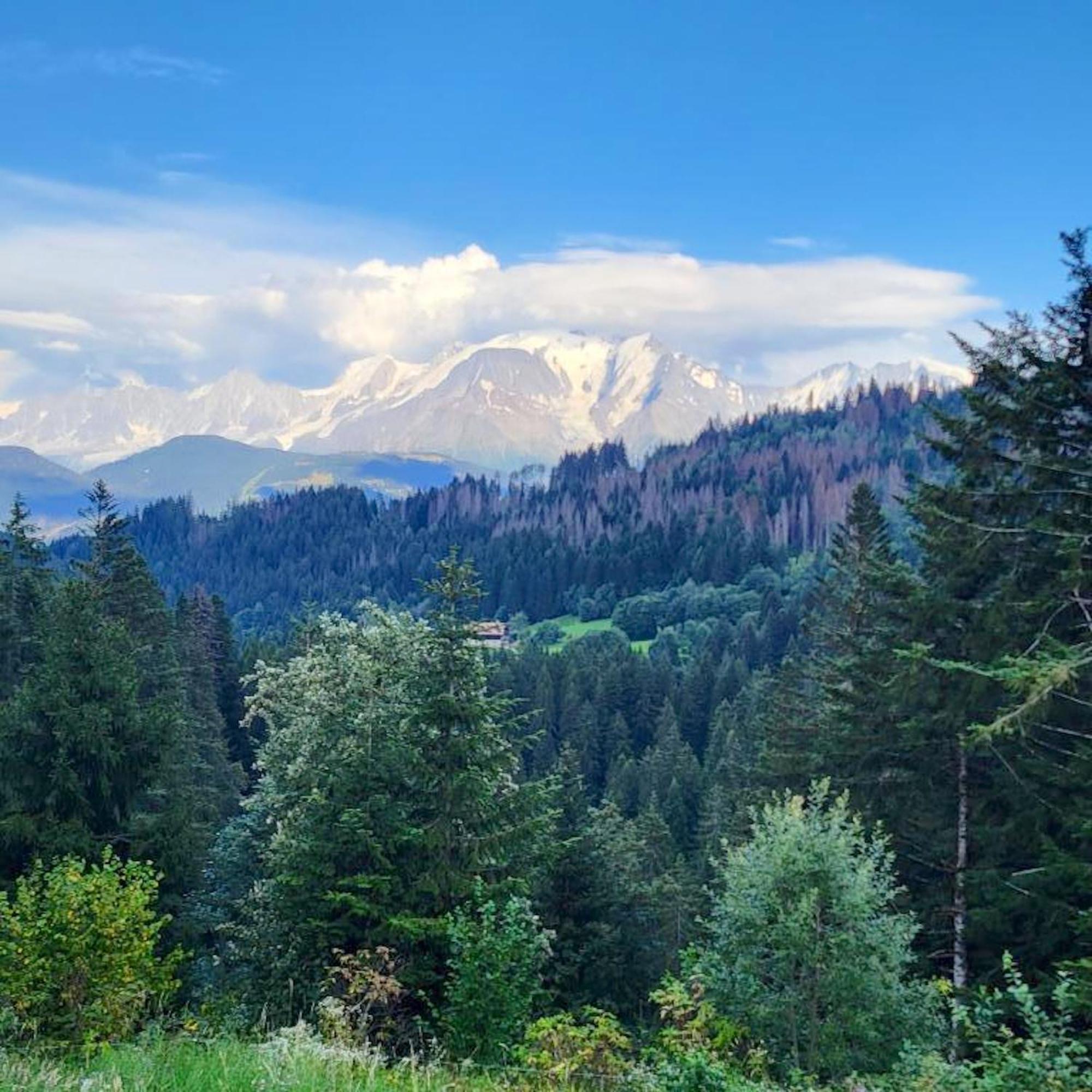 Studio Accueillant A Cordon Vue Mont Blanc 22 M² Parking Inclus Zewnętrze zdjęcie