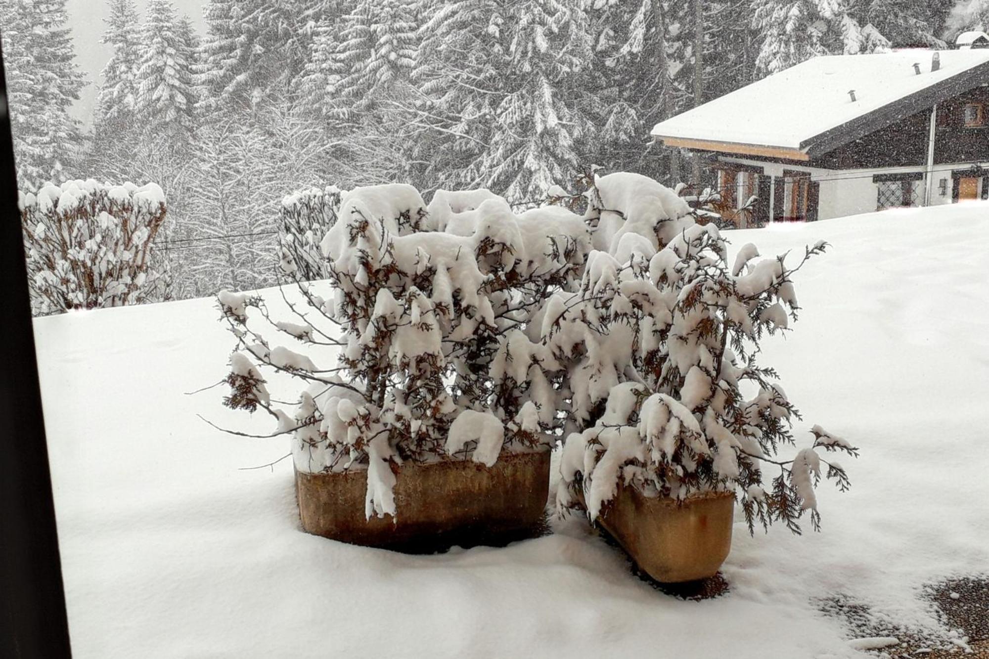 Studio Accueillant A Cordon Vue Mont Blanc 22 M² Parking Inclus Zewnętrze zdjęcie